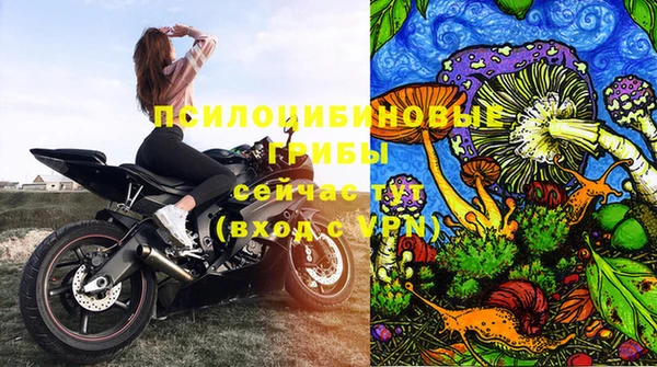 СК Алзамай