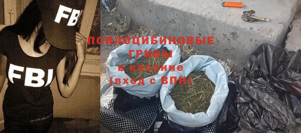 винт Нея