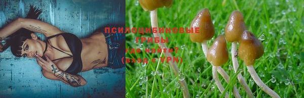 мескалин Алексеевка