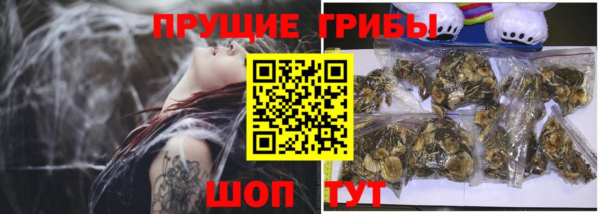 Бошки Шишки  Вход с VPN  Усть-Лабинск  Кокаин  Бошки Шишки  МЕФ   ЭКСТАЗИ  Наркошоп  МЕТ  ГАШ 